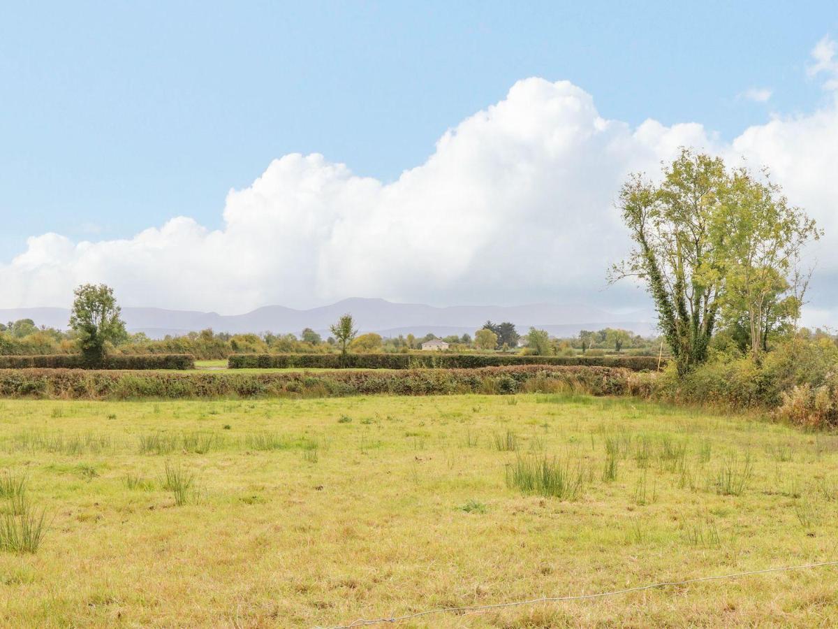 The Artist'S Barn Villa Limerick Junction Buitenkant foto